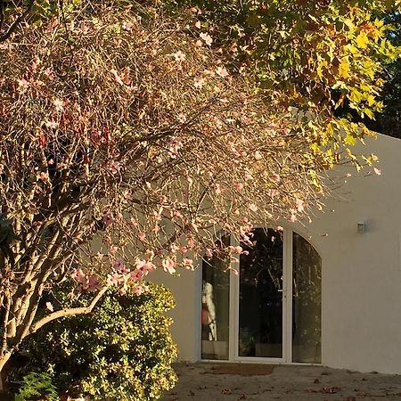 Casa Do Hibisco Vila São João do Estoril Exterior foto