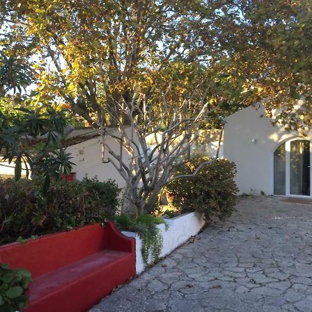 Casa Do Hibisco Vila São João do Estoril Exterior foto