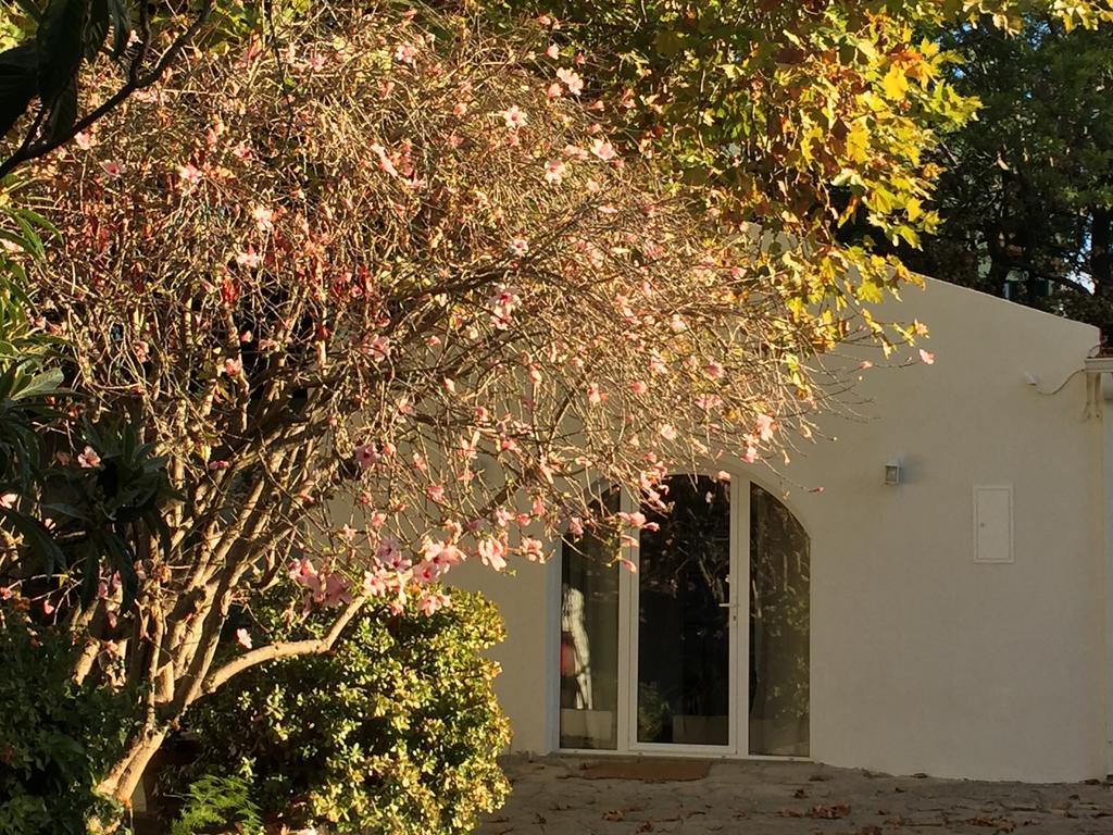 Casa Do Hibisco Vila São João do Estoril Exterior foto