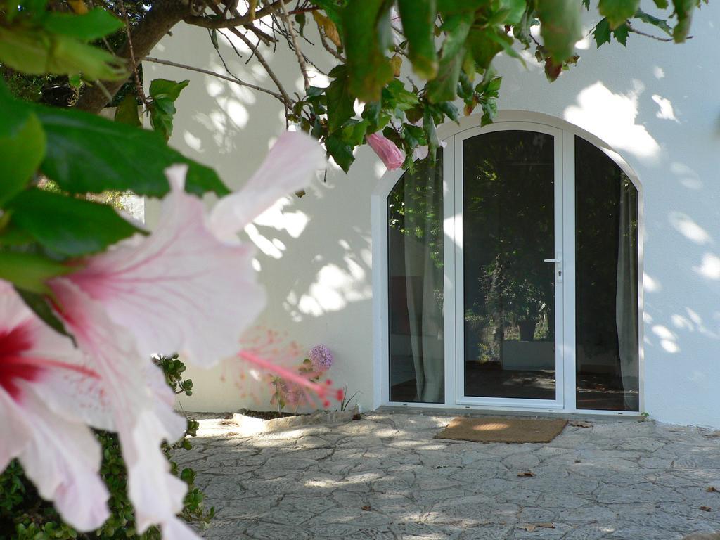 Casa Do Hibisco Vila São João do Estoril Exterior foto